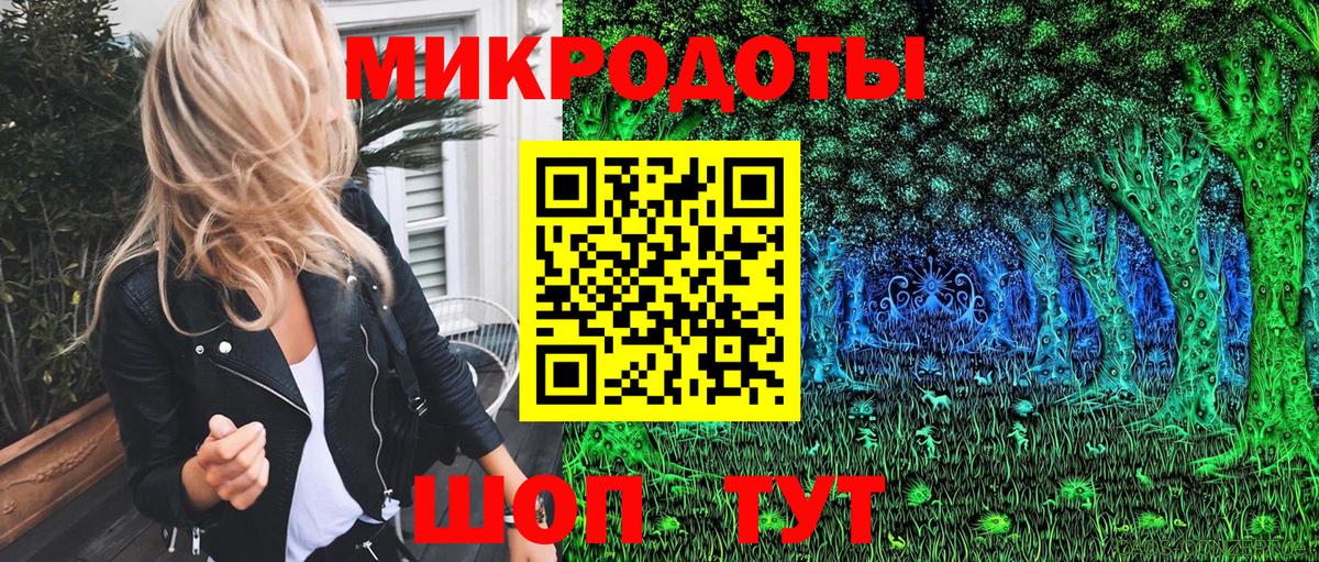 Курчалой  Галлюциногенные грибы Psilocybine cubensis  Вход с VPN  Псилоцибиновые грибы ЛСД 